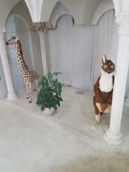 -星光贝贝(万达店)