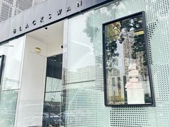 -BLACKSWAN黑天鹅(环球店)
