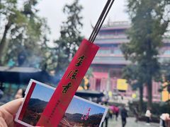 -灵隐飞来峰景区