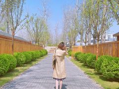 -禧宴Joyous Restaurant(禧园店)