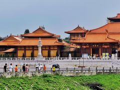 -三水森林公园