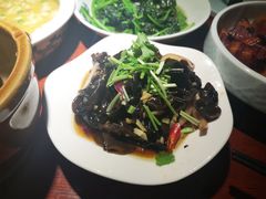 开胃木耳-田婆婆的菜(海口友谊阳光城店)