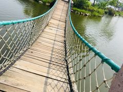 -杭州湾海上花田景区