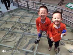 -中国地质大学逸夫博物馆