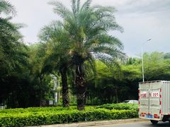 -三亚新鸿港水果一级批发市场