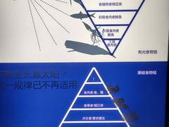 -同济大学四平路校区深海探索馆