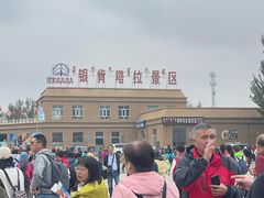 -银肯塔拉沙漠生态旅游景区