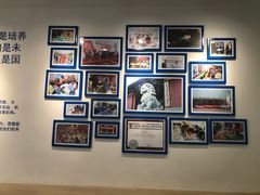 -斯坦星球AI编程·机器人科创·科学实验·信奥·思维·STEM·积木拼搭·竞赛考级(浦东联洋广场大拇指龙阳御桥中心)