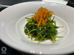 -松云泽