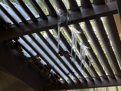 -春晖园度假酒店温泉