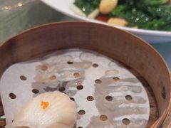 -粤珍轩·家宴·广式茶点(新城广场店)