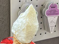 -野人先生现做冰淇淋(北京悠唐购物中心店)