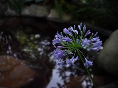-七彩云南古滇温泉山庄