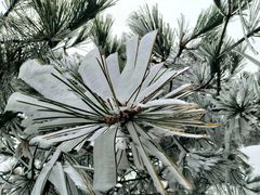 景点-南岳衡山风景名胜区