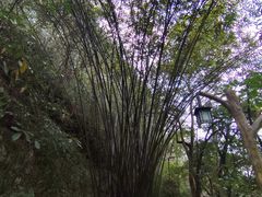 -英西峰林·洞天仙境