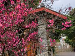 -三圣花乡旅游区