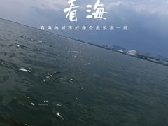 -碧海金沙