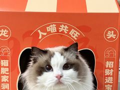 -鱼上·烤鱼(万象城店)