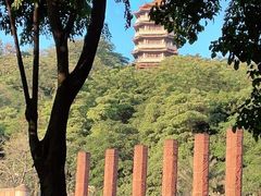 -福神岗公园