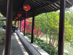 -上海醉白池公园