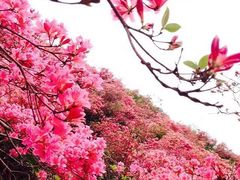-木兰云雾山
