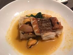 snapper-Cumulus Inc.