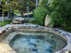 -中家鑫园温泉酒店鑫悦汤泉