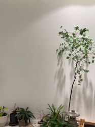 -RUMI日弥美容会所