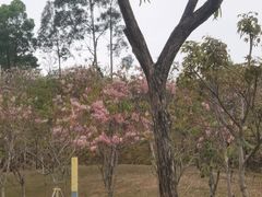 -白石龙音乐公园