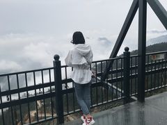 -梦幻奥陶纪景区