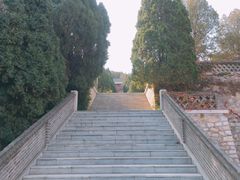 -龙口南山旅游景区