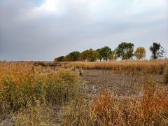 -野鸭湖国家湿地公园