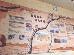 -敦煌雅丹国家地质公园