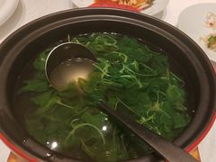烫食蔬-红城阁·上海味道(四平路店)