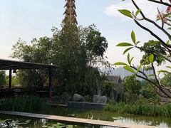 景观位-西双版纳洲际度假酒店兰吧