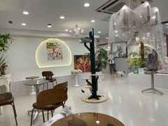 -共舞时光猫咖·狗咖(新街口店)