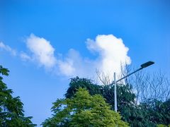 -新梦百货(民族店)