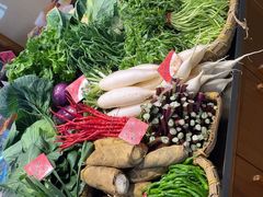 -杨厨的田园饭店(长城路店)