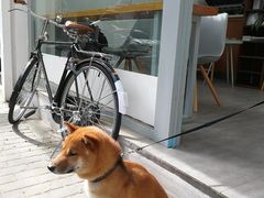 -Onirii Coffee(长乐路店)
