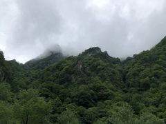 -青峰峡国家森林公园