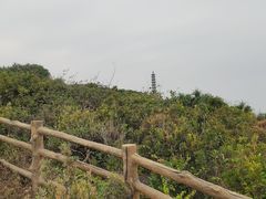 -杨梅坑