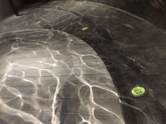 -张之洞与武汉博物馆