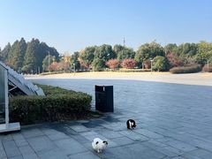 -阳澄湖半岛旅游度假区