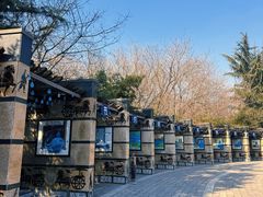 -西安汉城湖景区