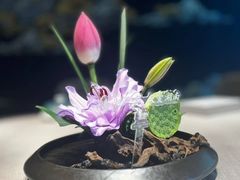 -喜湘宴·精致湖南菜(和平西桥店)