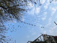 -VOYAGE COFFEE(北锣鼓巷店)