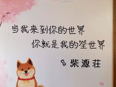 -柴源莊·柴小宠柴犬咖啡
