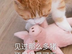 -项记面馆(明瓦廊店)