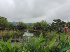-石塘人家