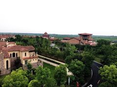 -上海崇明金茂凯悦酒店